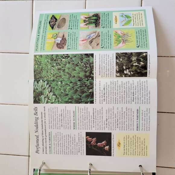 Gardening Made Easy Binder Educational Cards Groups 7 to 12 INCOMPLETE - Picture 5 of 9